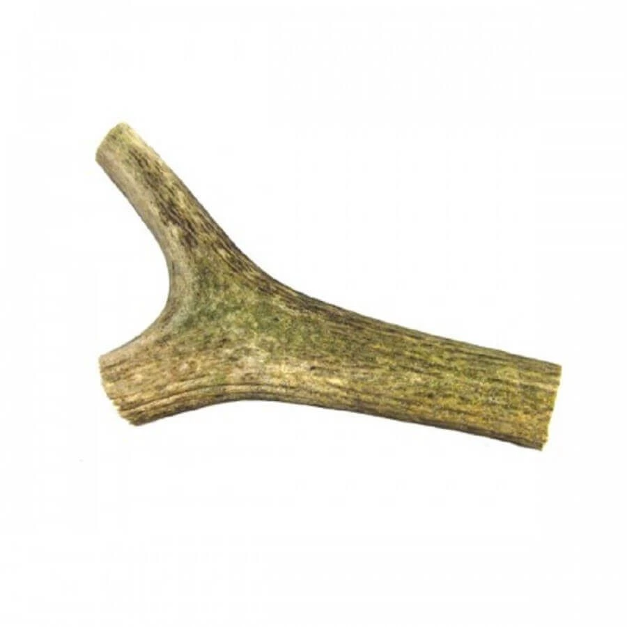 Friandise bois de cerf L FARM FOOD Friandise Bois De Cerf L -Magasin De Fournitures Pour Chiens De Compagnie 1005720 1 1