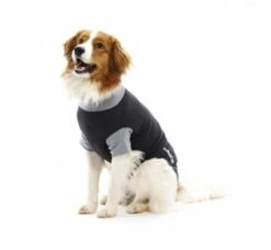 Buster Body Suit Chien XL