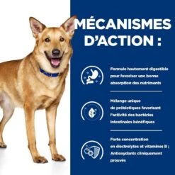 Hill's Prescription Diet Canine I/D 16 Kg -Magasin De Fournitures Pour Chiens De Compagnie 52742043166 5 prescription diet chien i d croquettes 3