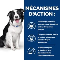 Hill's Prescription Diet Canine T/D 10 Kg -Magasin De Fournitures Pour Chiens De Compagnie 52742402703 5 prescription diet chien t d croquettes poulet 1