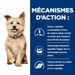 Hill's Prescription Diet Canine K/D Mijotés 12 X 354 G 5 Hill's Prescription Diet Canine K/D Mijotés 12 X 354 G -Magasin De Fournitures Pour Chiens De Compagnie 52742918204 5 prescription diet chien k d croquettes poulet 1 1