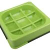 M-pets Waffle Gamelle Anti-glouton à Carreaux Verte -Magasin De Fournitures Pour Chiens De Compagnie 6953182710578