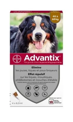 Advantix Très Grand Chien (40 - 60 Kg) - 4 Pipettes
