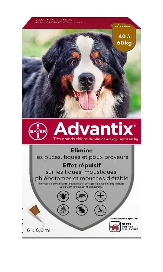 Advantix Très Grand Chien (40 - 60 Kg) - 6 Pipettes -Magasin De Fournitures Pour Chiens De Compagnie advantix tr s grand chien 40 60 kg 6 pipettes