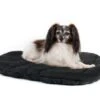 Back On Track Matelas De Voyage Pour Chien 55 X 60 Cm -Magasin De Fournitures Pour Chiens De Compagnie back on track matelas de voyage pour chien 2