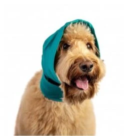 Bandage No Flap Pour Chien M