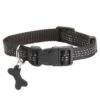 Bobby Collier Safe Noir Pour Chien L -Magasin De Fournitures Pour Chiens De Compagnie bobby collier safe noir pour chien l