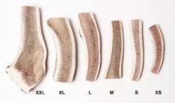 Evident Bois De Cerf Tranché XS -Magasin De Fournitures Pour Chiens De Compagnie bois de cerf tranch evident 2