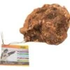Bubimex Racine à Mâcher 150-300 G -Magasin De Fournitures Pour Chiens De Compagnie bubimex racine a macher 150 300g la compagnie des animaux