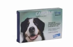 Capstar 57 Mg Pour Chien