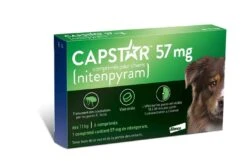 Capstar 57 Mg Pour Chien -Magasin De Fournitures Pour Chiens De Compagnie capstar 57 mg pour chien 1