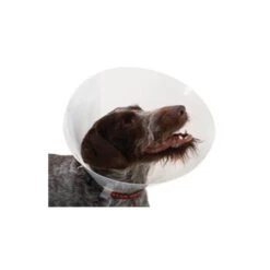 Buster Carcan Classique Pour Chiens - 35 Cm -Magasin De Fournitures Pour Chiens De Compagnie carcan classique pour chiens et chats 35 cm