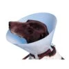 Buster Carcan Classique Pour Chiens - 30 Cm -Magasin De Fournitures Pour Chiens De Compagnie carcan classique pour chiens et chats 7 5 cm 1
