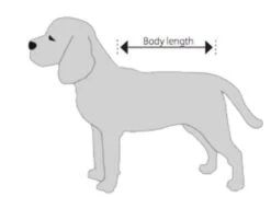 Buster Body Suit Chien XL -Magasin De Fournitures Pour Chiens De Compagnie chien 1 2 1 1 1 1 1 1