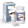 Cosequin HA 40 Cp -Magasin De Fournitures Pour Chiens De Compagnie cosequin chien ha 40 cps arthrose