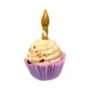 Croci Friandise Cupcake Anniversaire Chien 65 G -Magasin De Fournitures Pour Chiens De Compagnie croci friandise chien party cupcake 65 g