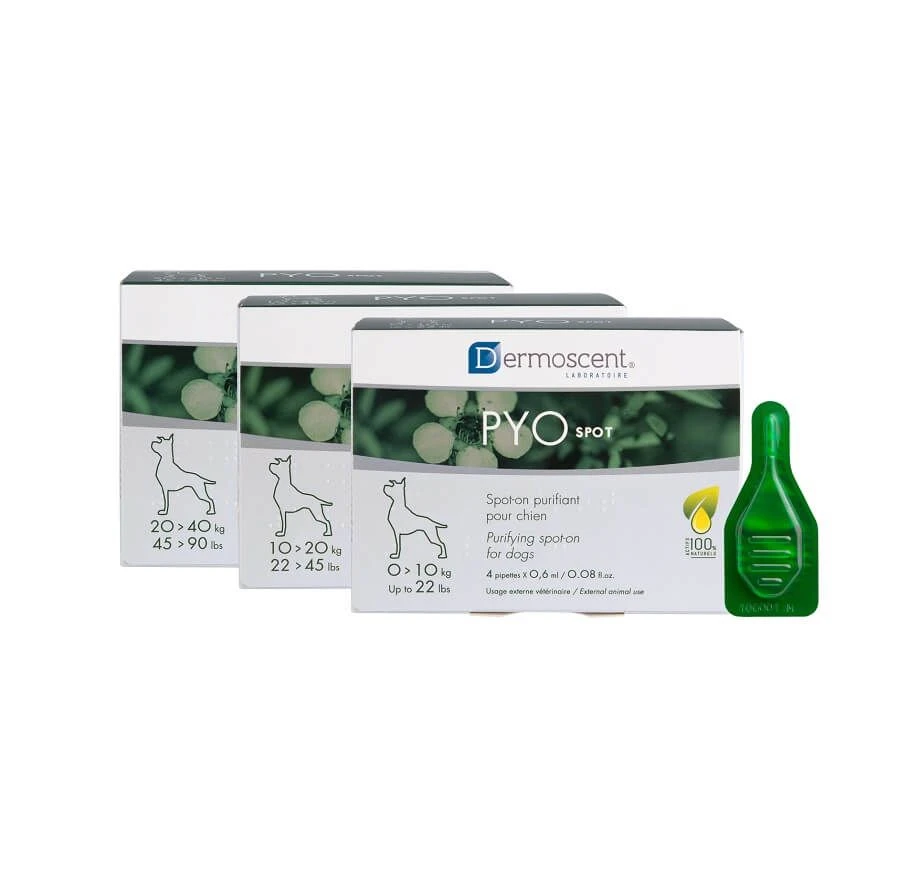 Dermoscent PYOspot chien 20-40kg 4 pipettes Dermoscent PYOspot Chien 20-40kg 4 Pipettes -Magasin De Fournitures Pour Chiens De Compagnie dermoscent pyospot chien 20 40kg 4 pipettes