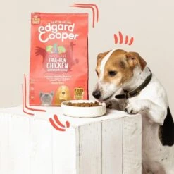 Edgard & Cooper Poulet Frais & Saumon Sans Céréales Chien Senior 7 Kg -Magasin De Fournitures Pour Chiens De Compagnie edgard cooper croquettes bio au boeuf et poulet frais chien adulte 1 1 2