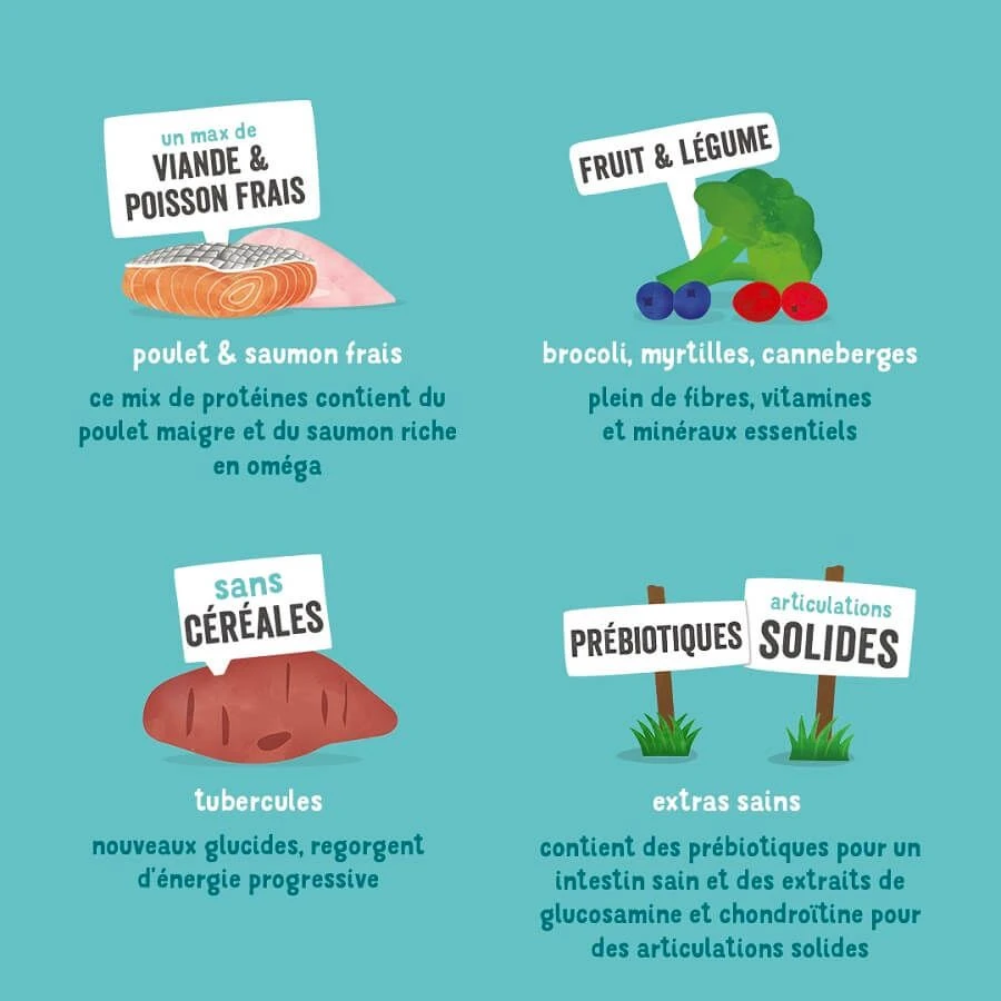 Edgard & Cooper Poulet Frais & Saumon Sans Céréales Chien Senior 7 Kg -Magasin De Fournitures Pour Chiens De Compagnie edgard cooper croquettes bio au boeuf et poulet frais chien adulte ingr dients 1 2