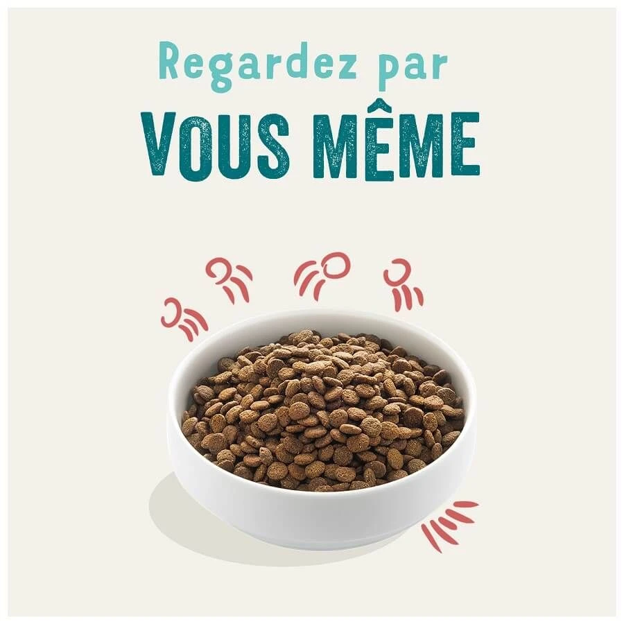 Edgard & Cooper Poulet Frais & Saumon Sans Céréales Chien Senior 7 Kg -Magasin De Fournitures Pour Chiens De Compagnie edgard cooper croquettes bio au boeuf poulet frais chien adulte 1 2