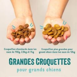 Edgard & Cooper Saumon & Dinde Sans Céréales Chiot 700 G -Magasin De Fournitures Pour Chiens De Compagnie edgard cooper croquettes saumon et dinde sans c r ales chiot 3