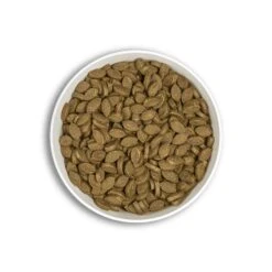 Millenium ERA Millennium Snack Immunité Chien 150 G -Magasin De Fournitures Pour Chiens De Compagnie era millenium snack immunit chien 150 g2 1