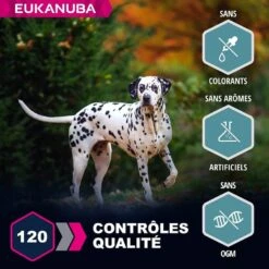 Eukanuba Chien Adult Grande Race Saumon & Orge 2.5 Kg - Destockage -Magasin De Fournitures Pour Chiens De Compagnie eukanuba chien adult grande race saumon orge 4