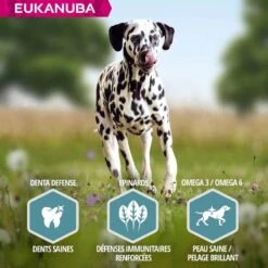 Eukanuba Chien Adult Grande Race Saumon & Orge 2.5 Kg - Destockage -Magasin De Fournitures Pour Chiens De Compagnie eukanuba chien adult grande race saumon orge 6