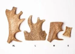 Evident Bois De Daim L -Magasin De Fournitures Pour Chiens De Compagnie evident bois de daim l2