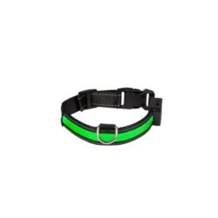 Eyenimal Collier Lumineux USB Rechargeable Vert Taille L
