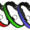 Eyenimal RGB Light Collar 3 Couleurs L -Magasin De Fournitures Pour Chiens De Compagnie eyenimal rgb light collar 3 couleurs l