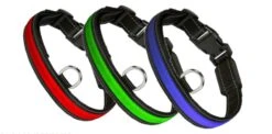 Eyenimal RGB Light Collar 3 Couleurs L