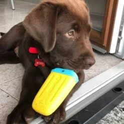 Croci Jouet Fresh Lolly Chien - Destockage -Magasin De Fournitures Pour Chiens De Compagnie fresh lolly 3