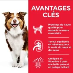 Hill's Science Plan Hill's Science Plan Canine Mature Adult 7+ Medium Poulet 14 Kg -Magasin De Fournitures Pour Chiens De Compagnie hill s science plan canine mature adult 7 medium poulet 14 kg4