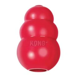 KONG Classic Rouge XS
