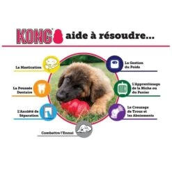 KONG Classic Rouge XS 4 KONG Classic Rouge XS -Magasin De Fournitures Pour Chiens De Compagnie kong classic rouge xs3