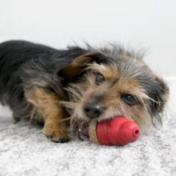 KONG Friandises Marathon Peanut Butter Pour Chien M 136 G 5 KONG Friandises Marathon Peanut Butter Pour Chien M 136 G -Magasin De Fournitures Pour Chiens De Compagnie kong friandises marathon chicken 1 2