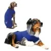 KVP Gilet Médical XS -Magasin De Fournitures Pour Chiens De Compagnie kvp gilet m dical 1