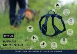 Kyflie Harnais Momentum Rose XS -Magasin De Fournitures Pour Chiens De Compagnie kyflie harnais momentum la compagnie des animaux 15