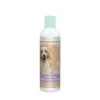 Lore & Science Chien Aseptis Shampoing Bio 250 Ml -Magasin De Fournitures Pour Chiens De Compagnie lore science chien aseptis shampoing dog bio 250 ml