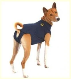 Medical Pet Shirt Chien L -Magasin De Fournitures Pour Chiens De Compagnie mps dog 1 1 1 1 1 3
