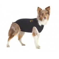 Medical Pet Shirt Chien M 3 Medical Pet Shirt Chien M -Magasin De Fournitures Pour Chiens De Compagnie mps dog m 2