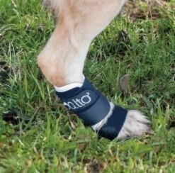 Orthese Balto Carpe Et Tarse L -Magasin De Fournitures Pour Chiens De Compagnie orthese balto carpe et tarse3 1 1 1 1