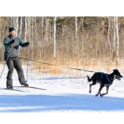 Pawz Bottes Noire L -Magasin De Fournitures Pour Chiens De Compagnie pawz bottes violettes l la compagnie des animaux 3 2