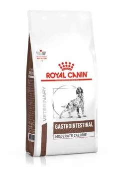 Royal Canin Vet Chien Gastrointestinal Moderate Calorie 7.5 Kg