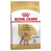 Royal Canin Caniche Adult 1.5 Kg -Magasin De Fournitures Pour Chiens De Compagnie royal canin caniche adult la compagnie des animaux 1