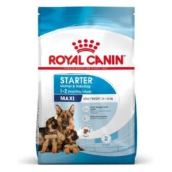 Royal Canin Vet Maxi Starter Mother And Babydog 4 Kg -Magasin De Fournitures Pour Chiens De Compagnie royal canin maxi starter mother and babydog 10 1