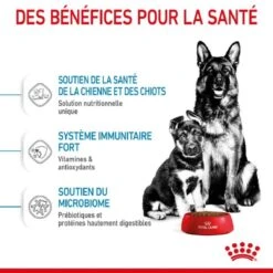 Royal Canin Vet Maxi Starter Mother And Babydog 4 Kg -Magasin De Fournitures Pour Chiens De Compagnie royal canin maxi starter mother and babydog 3 1