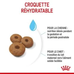 Royal Canin Vet Maxi Starter Mother And Babydog 4 Kg -Magasin De Fournitures Pour Chiens De Compagnie royal canin maxi starter mother and babydog 4 1