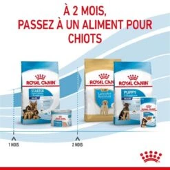 Royal Canin Vet Maxi Starter Mother And Babydog 4 Kg -Magasin De Fournitures Pour Chiens De Compagnie royal canin maxi starter mother and babydog 5 1